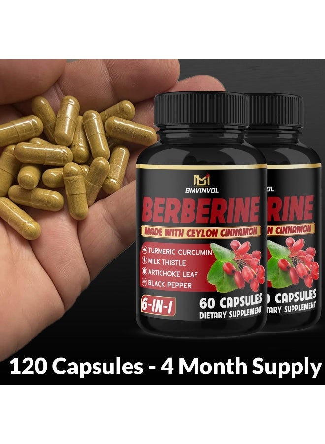 BMVINVOL (2 Packs) Berberine Supplement 4700mg Plus Ceylon Cinnamon, Turmeric - 120 Capsules - Supports Immune Function - Berberine HCl Supplement Pills - 4 Months Supply - Image 4